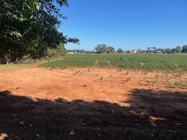 Listing Image #3 - Land for sale at 0 Wilson Dam Rd. S, Mluscle Shoals AL 35661