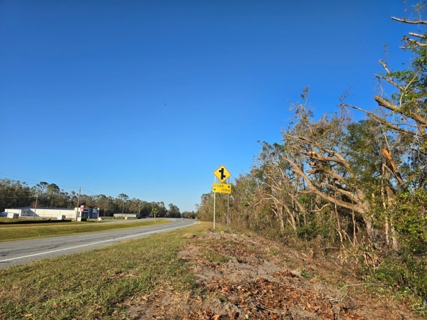 Listing Image #2 - Land for sale at S Highway 41, Valdosta GA 31636