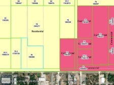 Listing Image #2 - Land for sale at 0 County Line Road, Spring Hill FL 34608