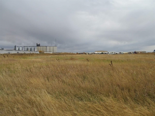 Listing Image #3 - Land for sale at 00 Nw, Ross ND 58766