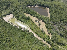 Listing Image #3 - Land for sale at 00 Gator Walk, Ridgeville SC 29472