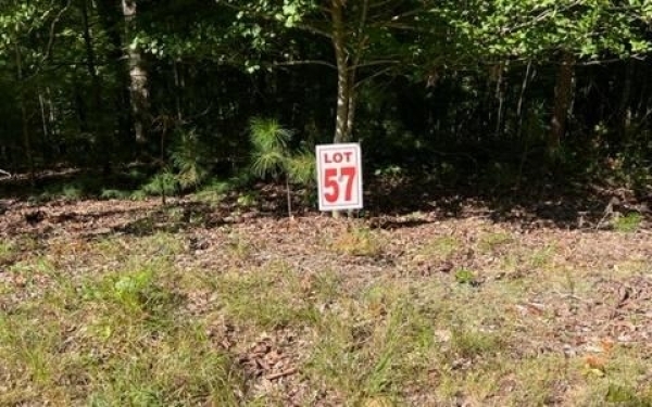 Listing Image #2 - Land for sale at LT 57 Honeysuckle Way, Ellijay GA 30540