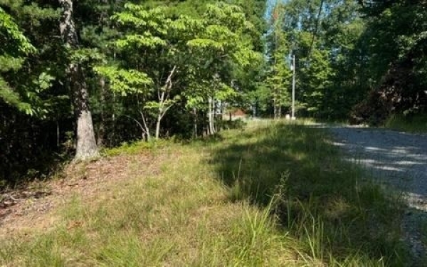 Listing Image #3 - Land for sale at LT 57 Honeysuckle Way, Ellijay GA 30540