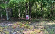 Land property for sale in Ellijay, GA