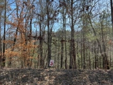 Land property for sale in Ellijay, GA