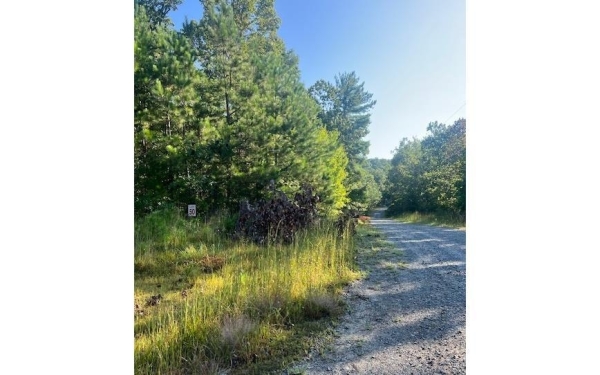 Listing Image #1 - Land for sale at LT 50 White Pine Ridge, Ellijay GA 30540