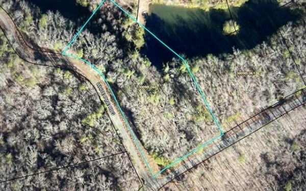 Listing Image #2 - Land for sale at LT 50 White Pine Ridge, Ellijay GA 30540
