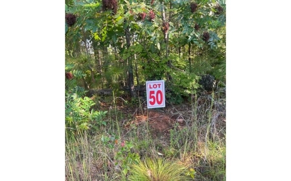 Listing Image #3 - Land for sale at LT 50 White Pine Ridge, Ellijay GA 30540