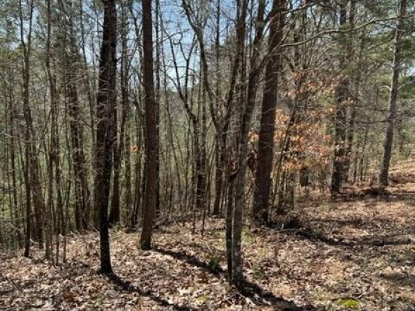 Listing Image #2 - Land for sale at LT 4 Hunter Ridge, Ellijay GA 30540