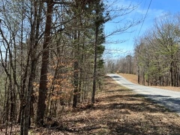 Listing Image #3 - Land for sale at LT 4 Hunter Ridge, Ellijay GA 30540