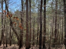 Land property for sale in Ellijay, GA