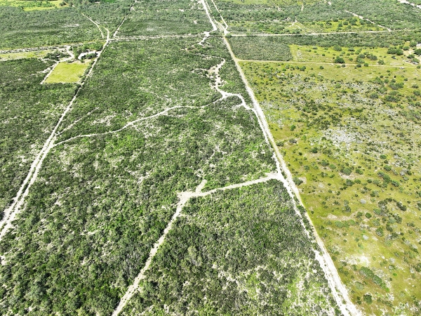 Listing Image #2 - Land for sale at 201 N La Sagunada Road, Rio Grande City TX 78582