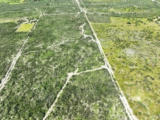 Listing Image #2 - Land for sale at 201 N La Sagunada Road, Rio Grande City TX 78582