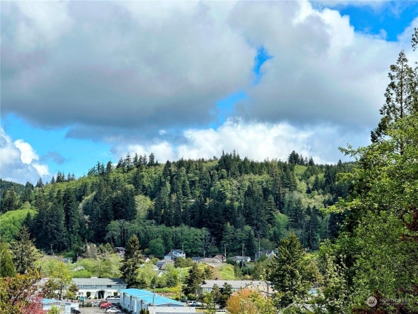 Listing Image #2 - Land for sale at 816 TERRACE AVENUE, ABERDEEN WA 98520