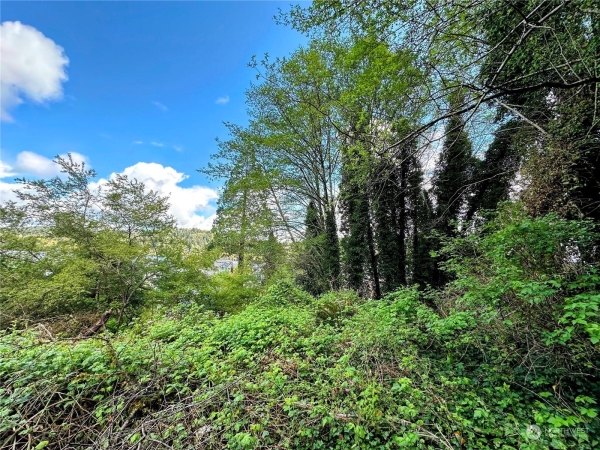 Listing Image #3 - Land for sale at 816 TERRACE AVENUE, ABERDEEN WA 98520