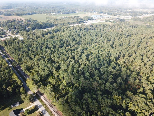 Listing Image #2 - Land for sale at Shaw Drive, Darlington County, SC, Hartsville SC 29550