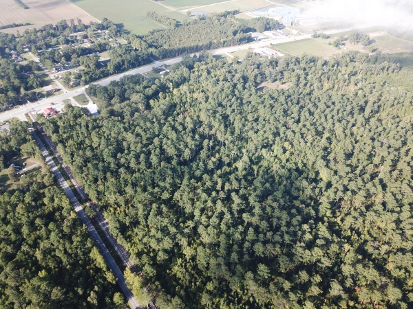 Listing Image #3 - Land for sale at Shaw Drive, Darlington County, SC, Hartsville SC 29550