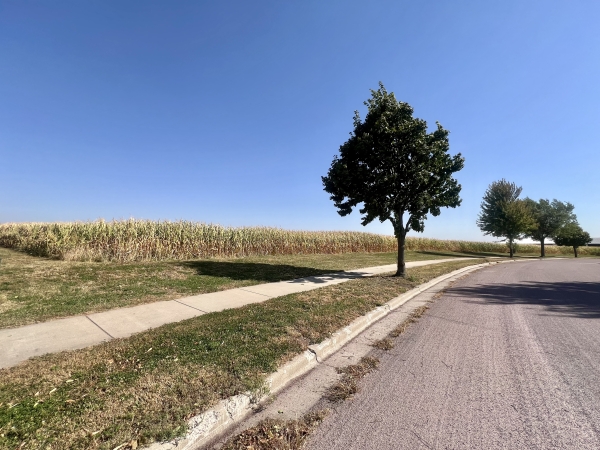 Listing Image #2 - Land for sale at TBD Somsen St, New Ulm MN 56073