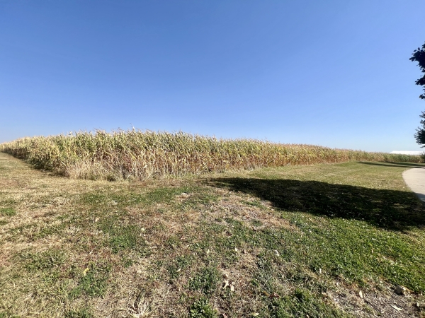 Listing Image #3 - Land for sale at TBD Somsen St, New Ulm MN 56073
