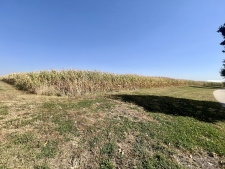 Listing Image #3 - Land for sale at TBD Somsen St, New Ulm MN 56073
