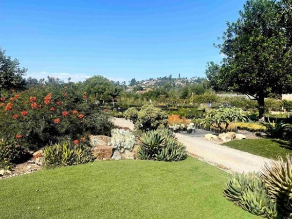 Listing Image #2 - Others for sale at 1998 E Chase Av, El Cajon CA 92020