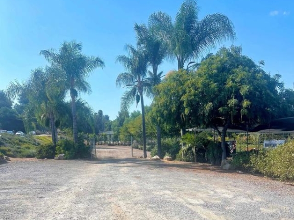 Listing Image #3 - Others for sale at 1998 E Chase Av, El Cajon CA 92020