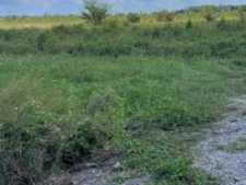 Land property for sale in Centerville, LA