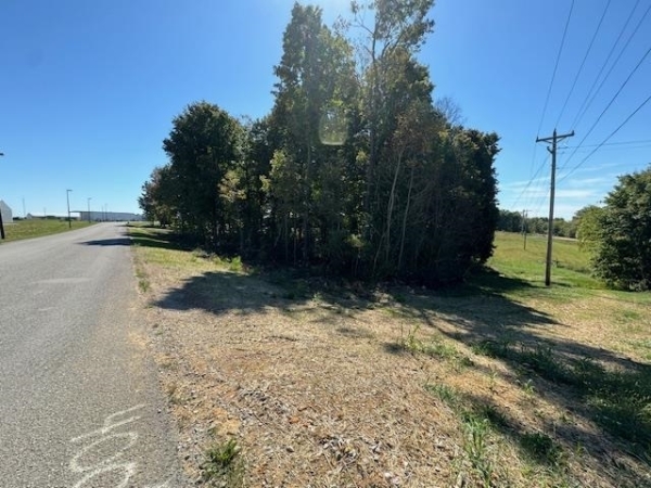 Listing Image #3 - Land for sale at Tract 3 Carroll Knicely Drive, Glasgow KY 42141 Listing Image #3 - Land for sale at Tract 3 Carroll Knicely Drive, Glasgow KY 42141