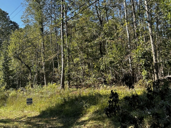 Listing Image #3 - Land for sale at 0 N Holcomb Dr, Martin GA 30557