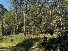 Listing Image #3 - Land for sale at 0 N Holcomb Dr, Martin GA 30557