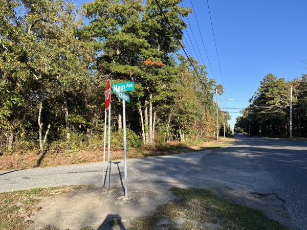 Listing Image #2 - Land for sale at 0 Main Ave, Buena Vista Township NJ 08360