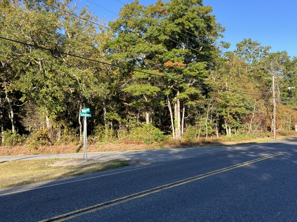 Listing Image #4 - Land for sale at 0 Main Ave, Buena Vista Township NJ 08360