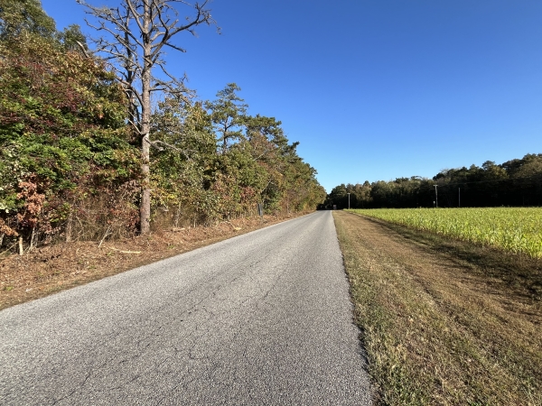 Listing Image #7 - Land for sale at 0 Main Ave, Buena Vista Township NJ 08360
