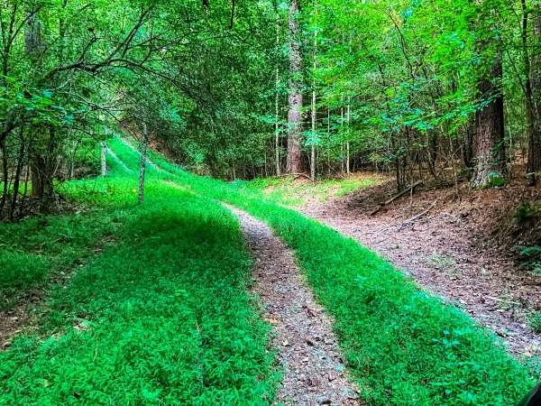 Listing Image #2 - Others for sale at 241 Acres Legion Road, Ellijay GA 30540