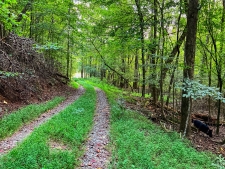 Others property for sale in Ellijay, GA