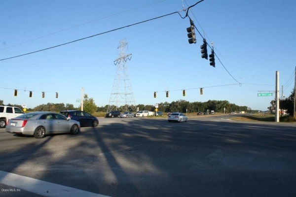 Listing Image #3 - Land for sale at 13121 SE HWY 441, Summerfield FL 34491