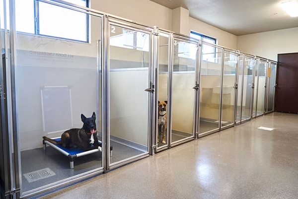 Listing Image #1 - Others for sale at Business and Real Estate, Premier Dog Kennel MT 59102