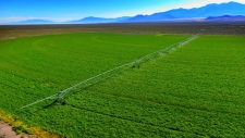 Industrial property for sale in Railroad Valley, NV