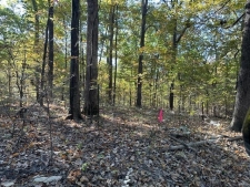 Listing Image #2 - Others for sale at 747 Hohokam Lane, Jackson MO 63755