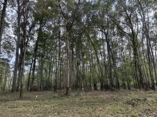 Listing Image #2 - Land for sale at Highway 57, Pocahontas TN 38061 Listing Image #2 - Land for sale at Highway 57, Pocahontas TN 38061
