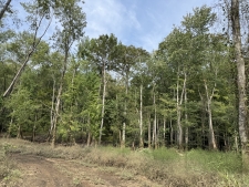 Listing Image #4 - Land for sale at Highway 57, Pocahontas TN 38061 Listing Image #4 - Land for sale at Highway 57, Pocahontas TN 38061