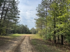 Listing Image #5 - Land for sale at Highway 57, Pocahontas TN 38061 Listing Image #5 - Land for sale at Highway 57, Pocahontas TN 38061