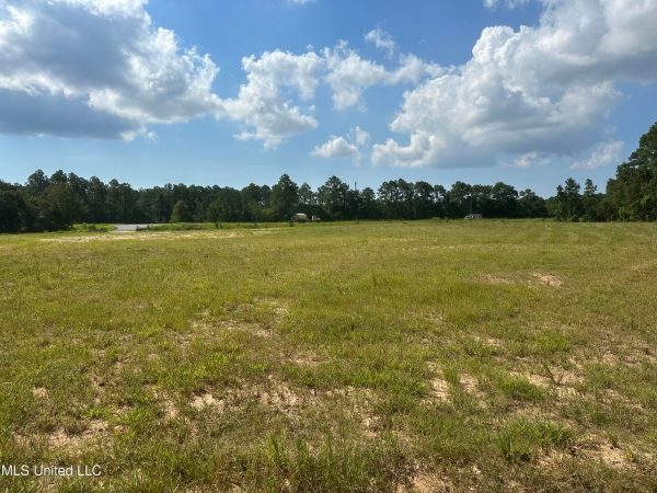 Listing Image #2 - Others for sale at Tbd Old Stage, Moss Point MS 39563