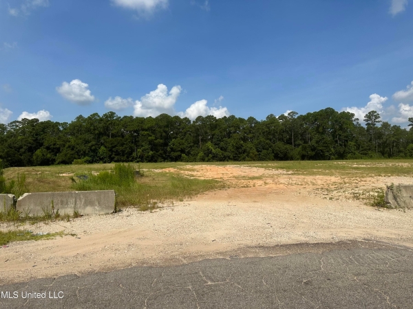Listing Image #2 - Others for sale at Tbd Hwy 90, Moss Point MS 39562