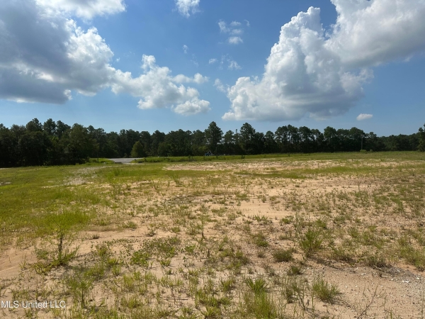 Listing Image #3 - Others for sale at Tbd Hwy 90, Moss Point MS 39562