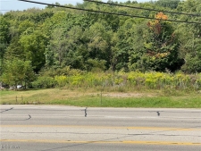 Others property for sale in Youngstown, OH