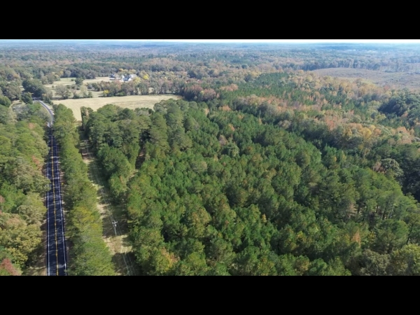 Listing Image #2 - Land for sale at 0 Johnstonville Rd (92+/- acres), Forsyth GA 31029