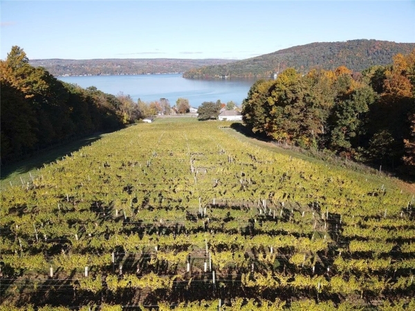 Listing Image #2 - Others for sale at 14630 State Route 54, Hammondsport NY 14840