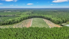 Farm property for sale in Glennville, GA