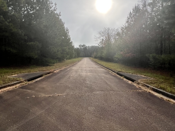 Listing Image #2 - Land for sale at 0 St Lucia Sunrise, Conyers GA 30094